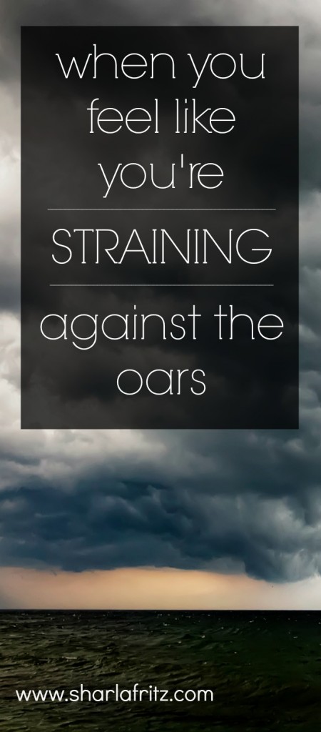 Life often feels like one big struggle against the wind. What we can learn from Jesus' disciples in Mark 6.