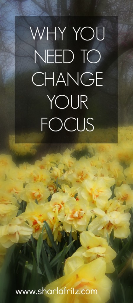 What are you focusing on And how is that working for you It might be time to change your focus.