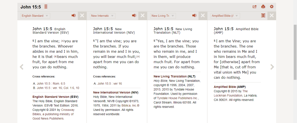 John 15-5 in parallel translations